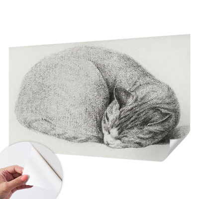 Autocolante de parede fotográfico Gato enrolado