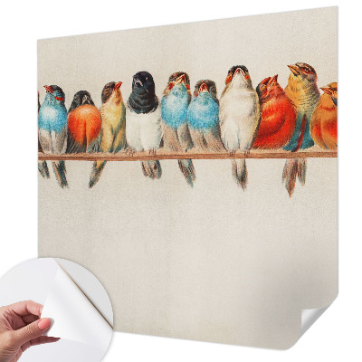 Papel de parede autocolante com estampa de pássaros em um galho