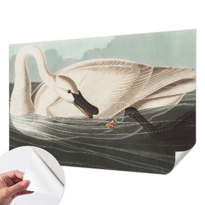 Papel de parede autocolante para sala Harmonia da natureza