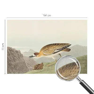 Autocolante de parede fotográfico com motivo de pássaro da montanha