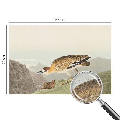 Autocolante de parede fotográfico Pássaro da montanha