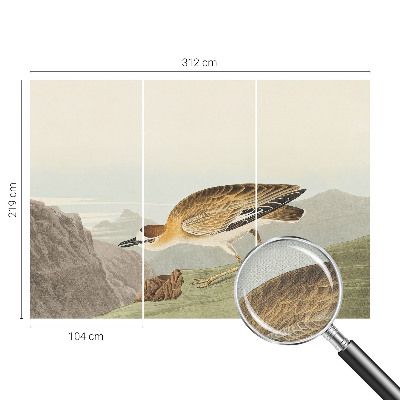 Autocolante de parede fotográfico Pássaro da montanha