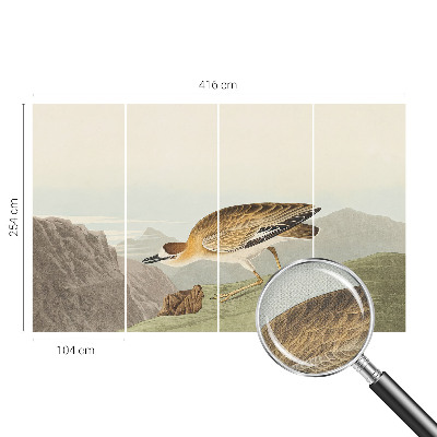 Autocolante de parede fotográfico Pássaro da montanha