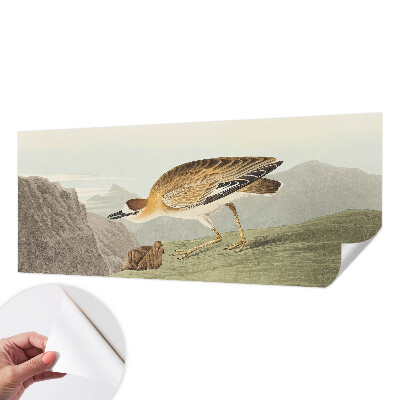 Autocolante de parede fotográfico Pássaro da montanha