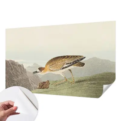 Autocolante de parede fotográfico com motivo de pássaro da montanha