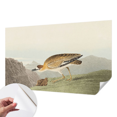 Autocolante de parede fotográfico Pássaro da montanha