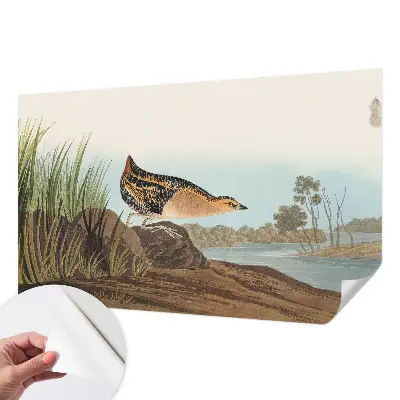Papel de parede autocolante com estampa de cena natural