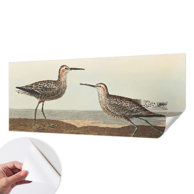 Papel de parede autocolante para quarto Silhuetas de pássaros
