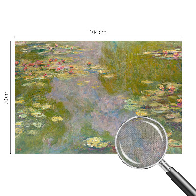 Papel de parede 3D Lírios de água