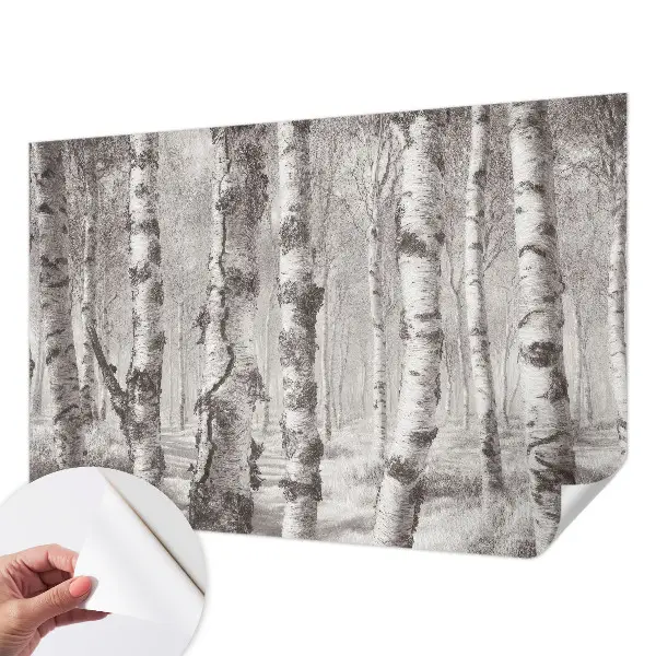 Papel de parede infantil com estampa de floresta de bétulas