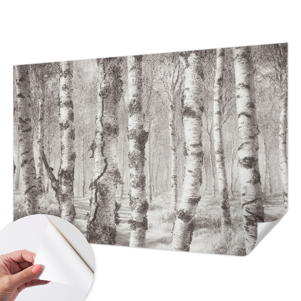 Papel de parede infantil Floresta de bétulas