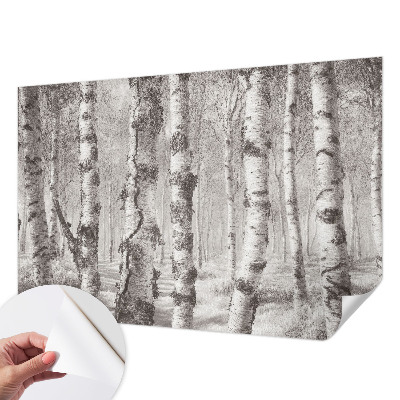 Papel de parede infantil Floresta de bétulas