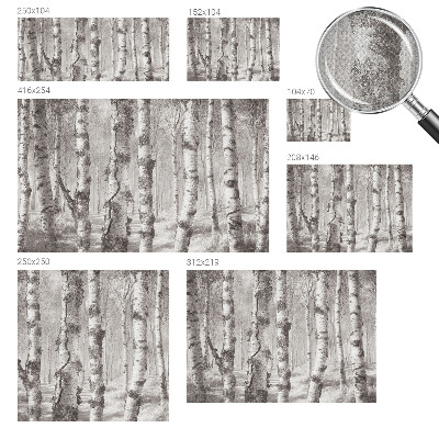 Papel de parede infantil Floresta de bétulas
