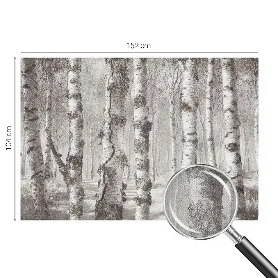 Papel de parede infantil com estampa de floresta de bétulas