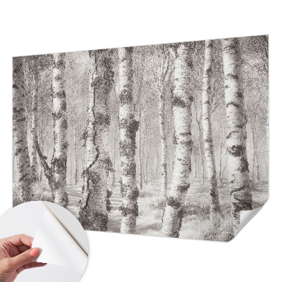 Papel de parede infantil Floresta de bétulas