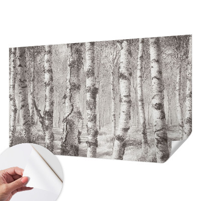 Papel de parede infantil Floresta de bétulas