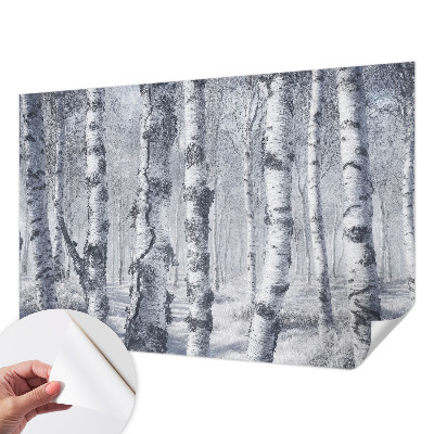 Papel de parede autocolante para sala com padrão de natureza gélida