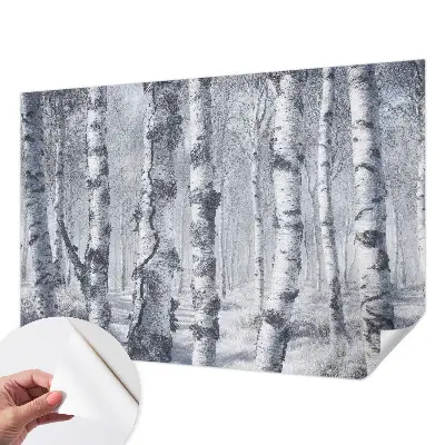 Papel de parede autocolante para sala com padrão de natureza gélida