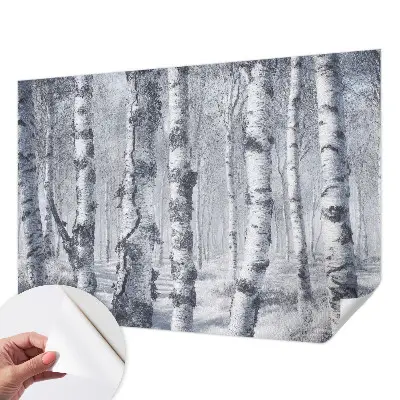 Papel de parede autocolante para sala com padrão de natureza gélida