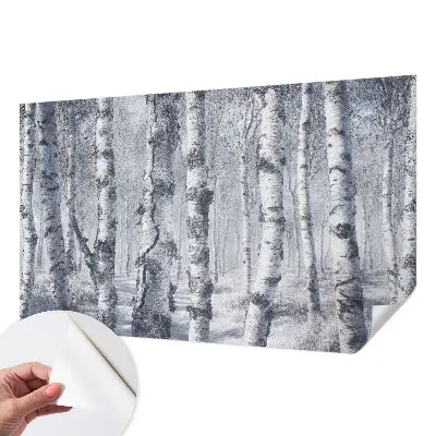 Papel de parede autocolante para sala com padrão de natureza gélida