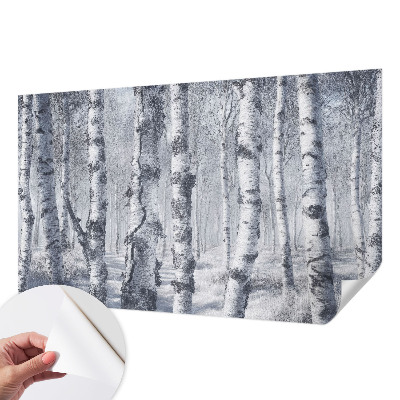 Papel de parede autocolante para sala natureza gélida