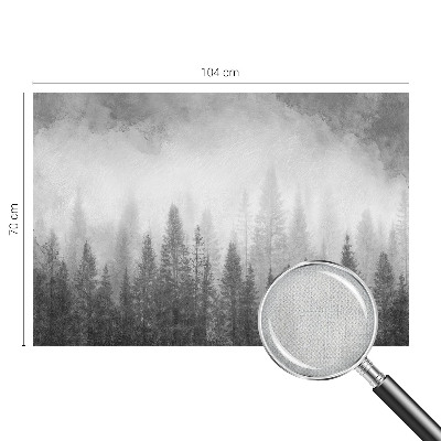 Papel de parede 3D Névoa da floresta
