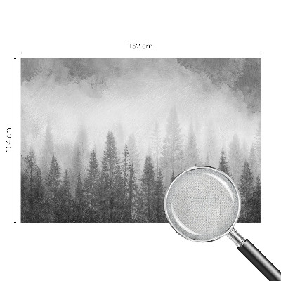 Papel de parede 3D Névoa da floresta
