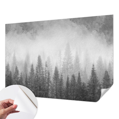 Papel de parede 3D Névoa da floresta