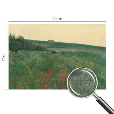 Papel de parede 3D Campos de papoulas