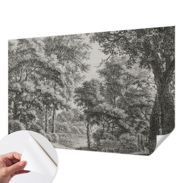 Papel de parede 3D Paisagem florestal