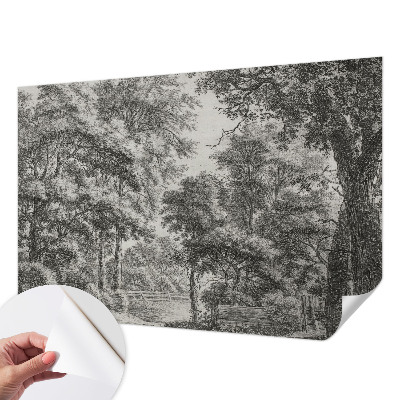 Papel de parede 3D com estampa de paisagem florestal