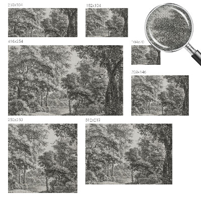 Papel de parede 3D Paisagem florestal