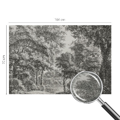 Papel de parede 3D Paisagem florestal