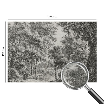 Papel de parede 3D Paisagem florestal