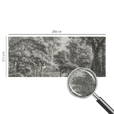 Papel de parede 3D Paisagem florestal