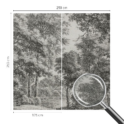 Papel de parede 3D Paisagem florestal
