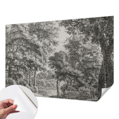 Papel de parede 3D Paisagem florestal