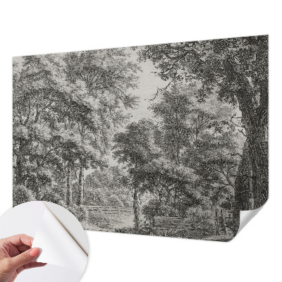 Papel de parede 3D Paisagem florestal