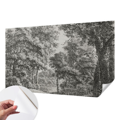 Papel de parede 3D Paisagem florestal