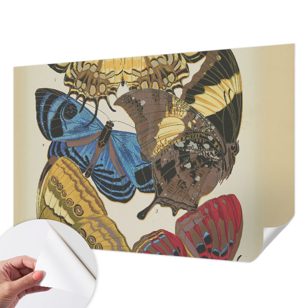 Papel de parede 3D Inspiração das borboletas