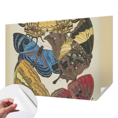 Papel de parede 3D Inspiração das borboletas