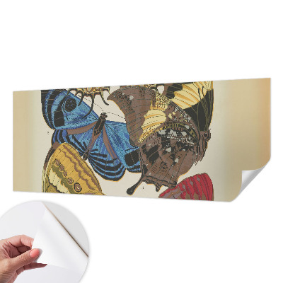 Papel de parede 3D Inspiração das borboletas