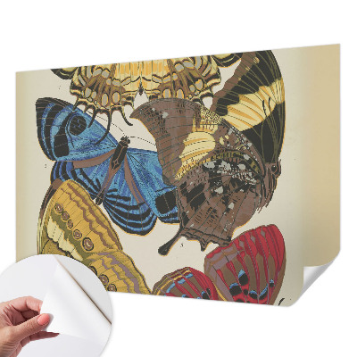 Papel de parede 3D Inspiração das borboletas