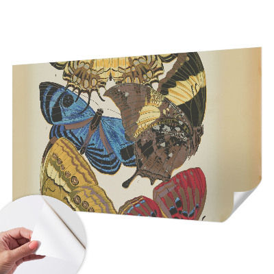 Papel de parede 3D Inspiração das borboletas