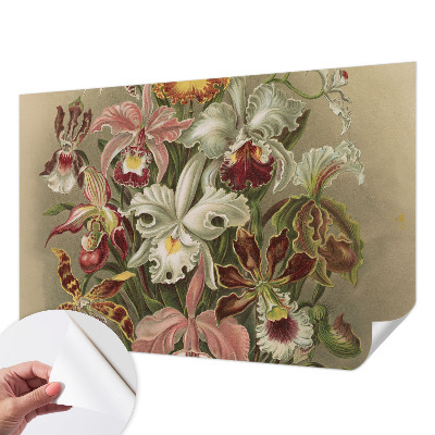 Papel de parede para criança com padrão floral elegante