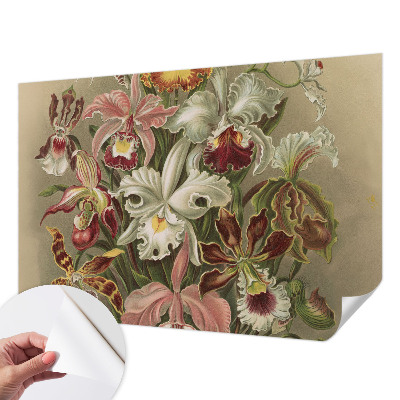 Papel de parede para criança Elegância floral