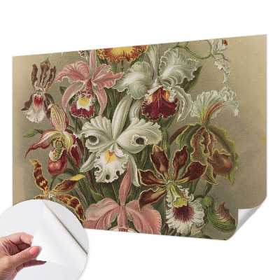 Papel de parede para criança com padrão floral elegante
