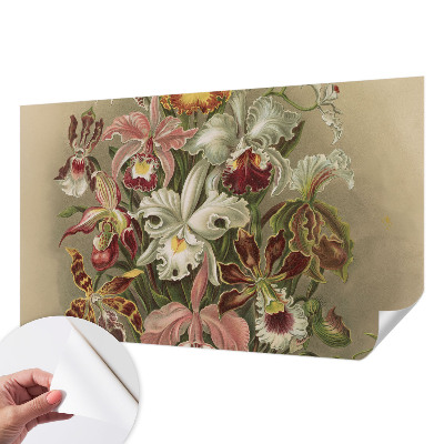 Papel de parede para criança com padrão floral elegante
