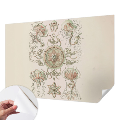 Papel de parede autocolante para sala Mundo subaquático