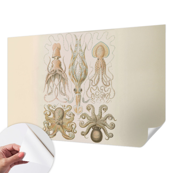 Papel de parede autocolante para quarto Vida marinha